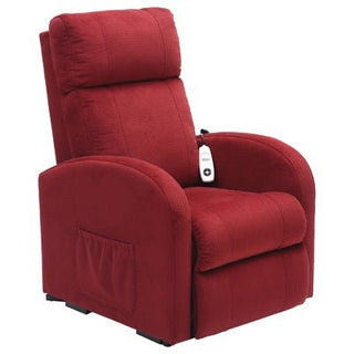 Riser Recline Chairs